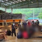 Police raid illegal sawmill linked to Chinese operators in Phitsanulok | Thaiger
