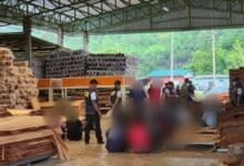 Police raid illegal sawmill linked to Chinese operators in Phitsanulok