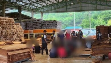 Police raid illegal sawmill linked to Chinese operators in Phitsanulok