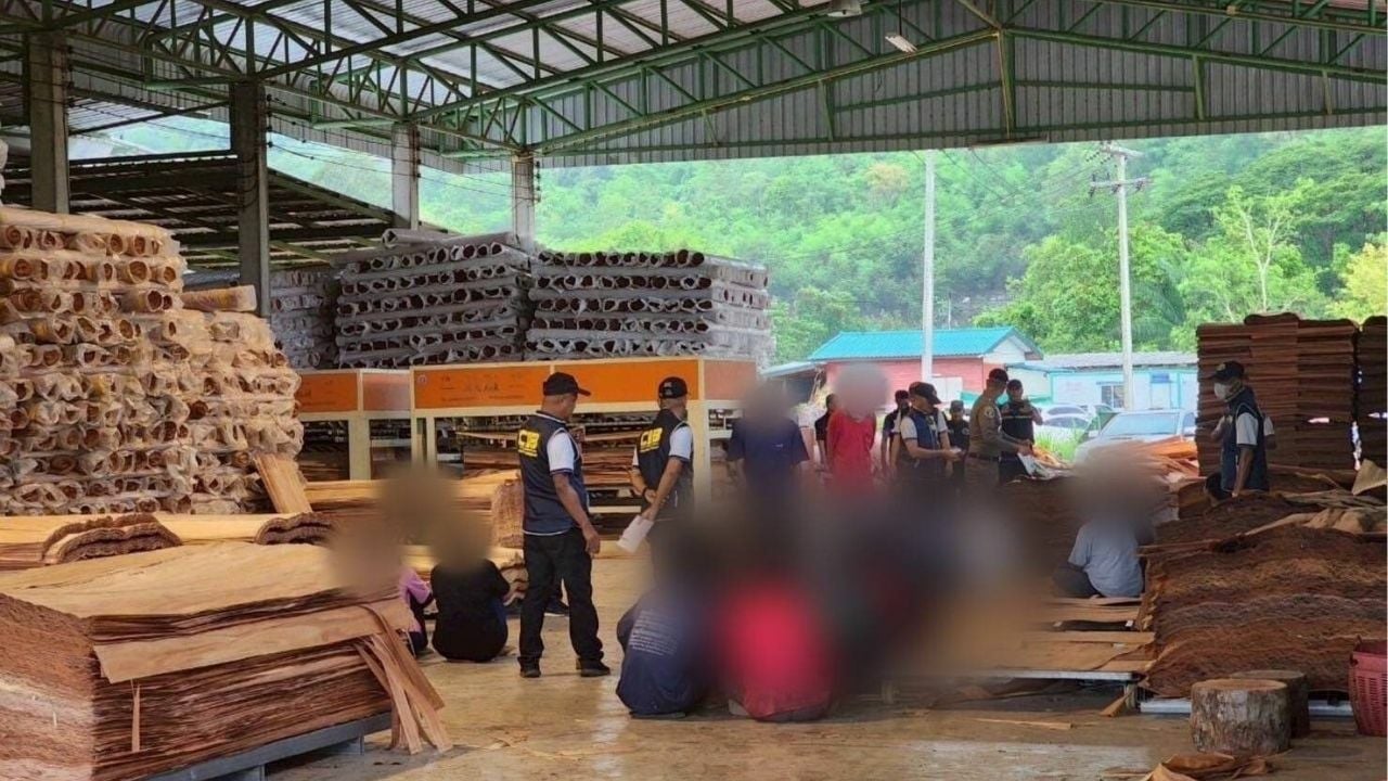 Police raid illegal sawmill linked to Chinese operators in Phitsanulok