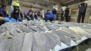 400 shark fins seized in major smuggling bust at Bangkok airport