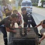 Autistic children rescued from storm drain in Chon Buri district