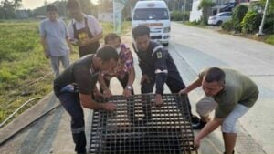 Autistic children rescued from storm drain in Chon Buri district