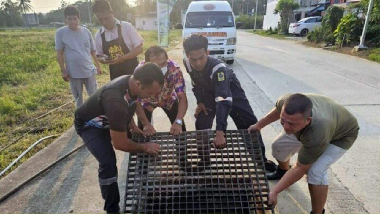 Autistic children rescued from storm drain in Chon Buri district