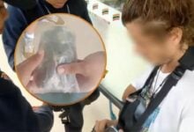 Hash and grab: Russian busted after smuggling drugs in condom