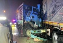 Mother and son killed in Chon Buri truck collision