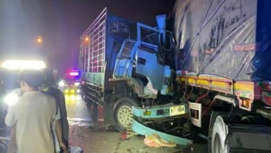 Mother and son killed in Chon Buri truck collision