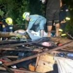 Severe storm in Bangkok claims life as tree crushes shelter