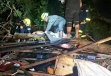 Severe storm in Bangkok claims life as tree crushes shelter