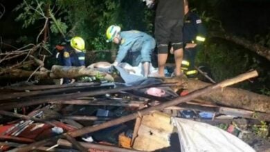 Severe storm in Bangkok claims life as tree crushes shelter