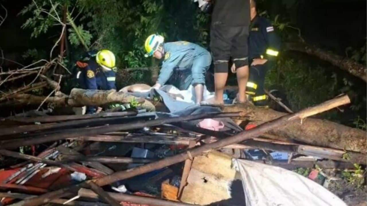 Severe storm in Bangkok claims life as tree crushes shelter