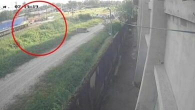 SRT investigates train accident after barrier error injures young woman