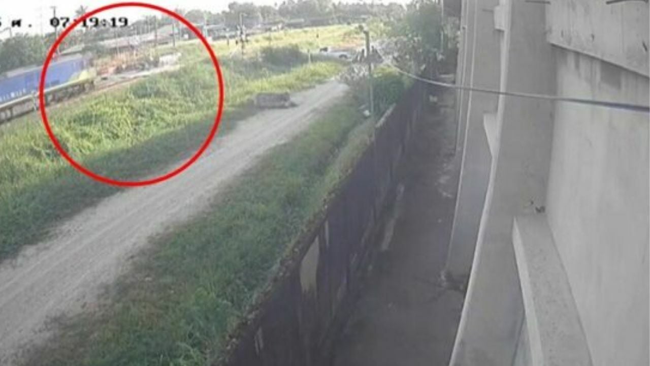 SRT investigates train accident after barrier error injures young woman