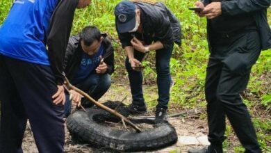 Police pursue leads in Trang oil palm plantation triple murder