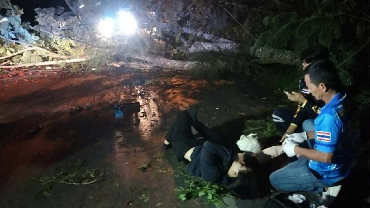 Strong wind topples tree onto motorcyclist in Chon Buri