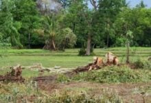 Pregnant woman and friend killed by lightning in Sisaket tragedy