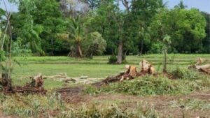 Pregnant woman and friend killed by lightning in Sisaket tragedy
