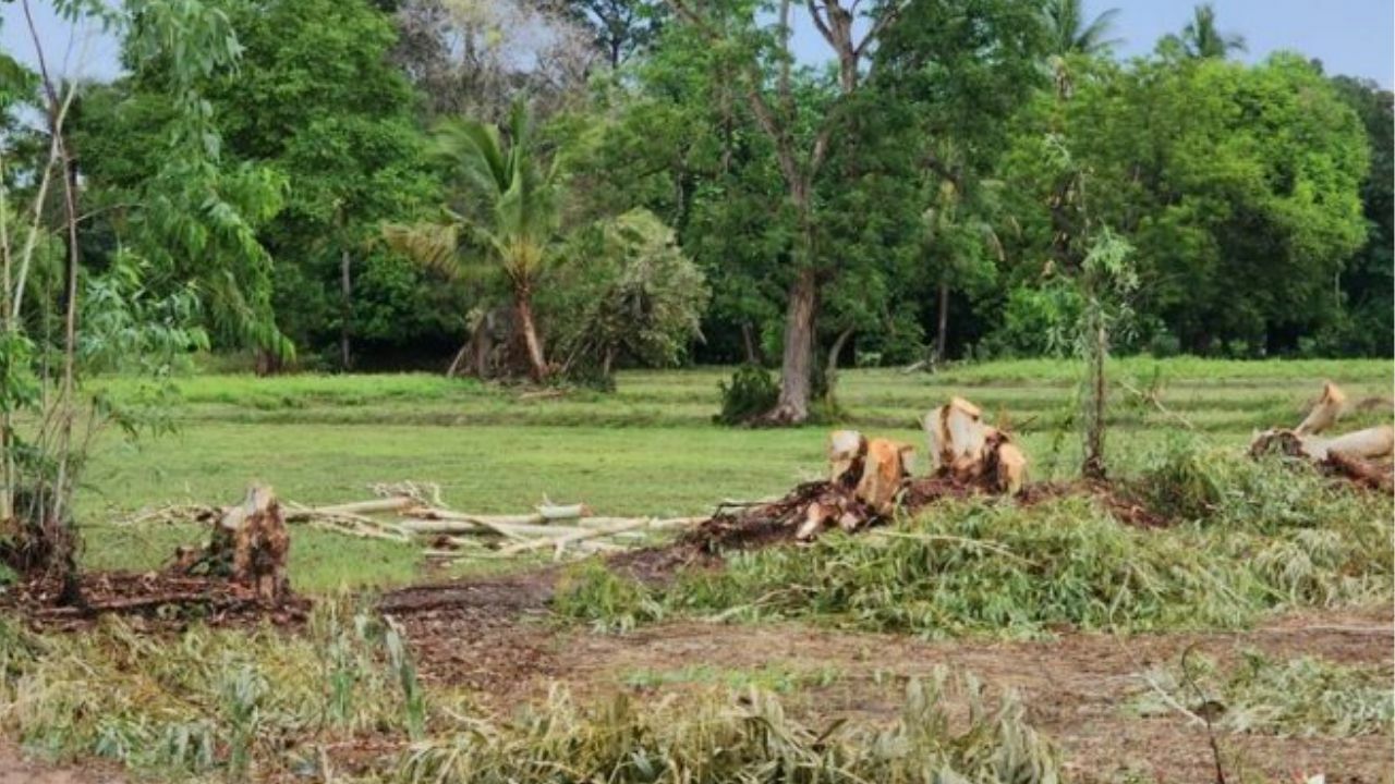 Pregnant woman and friend killed by lightning in Sisaket tragedy