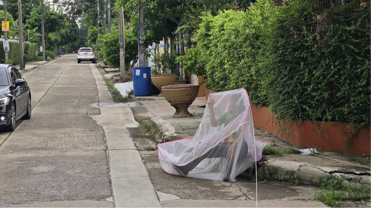 Bee-ware: Swarm stings taxi driver in Nonthaburi