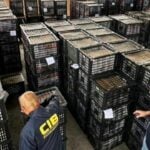 Vietnamese businessman caught smuggling avocados in Thailand