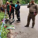 Tragic elephant attack claims man&#8217;s life in Uthai Thani | Thaiger