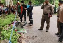 Tragic elephant attack claims man’s life in Uthai Thani