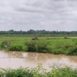 Lightning strike in Udon Thani claims two lives