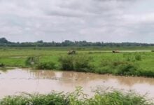 Lightning strike in Udon Thani claims two lives