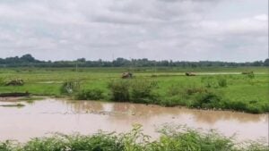 Lightning strike in Udon Thani claims two lives