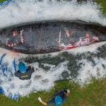 Cuvier’s beaked whale found dead on Thai beach had multiple health issues | Thaiger