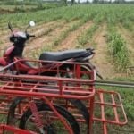 Thai man dies in lightning strike while on motorcycle