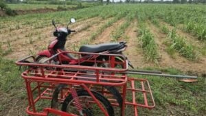 Thai man dies in lightning strike while on motorcycle