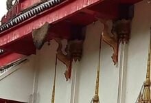 Bee attack at Nakhon Ratchasima temple injures over 30 people