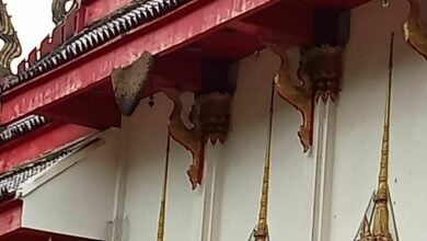 Bee attack at Nakhon Ratchasima temple injures over 30 people