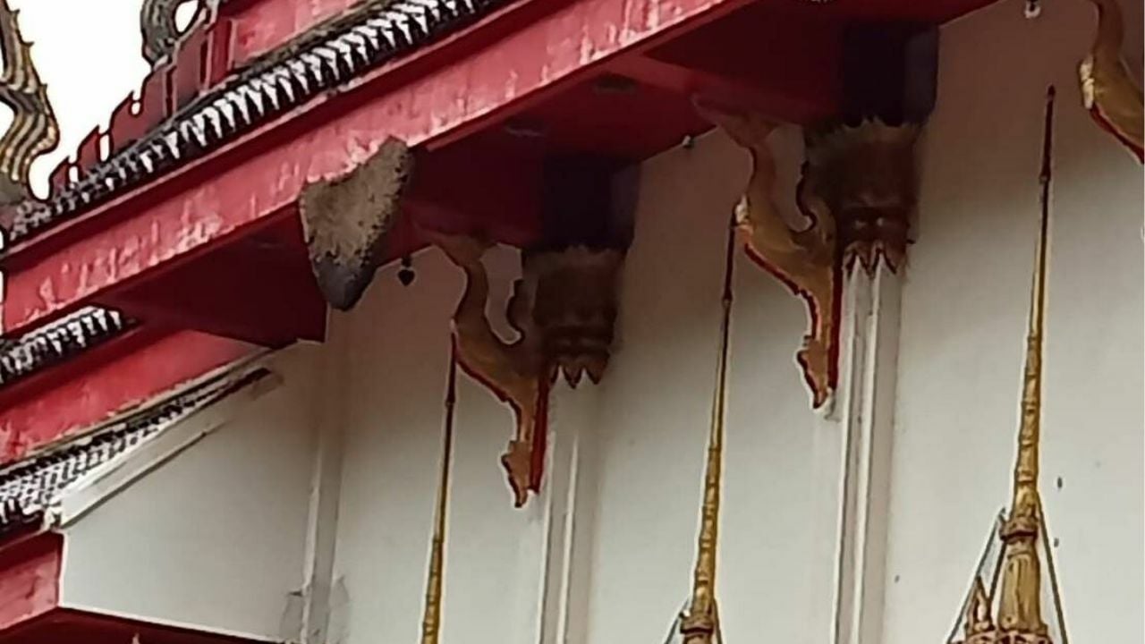 Bee attack at Nakhon Ratchasima temple injures over 30 people