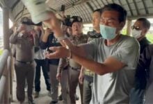 Man detained for throwing concrete at vehicles on Bang Na-Trat Road