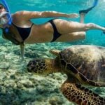 Similan Islands shut for sea-son: Timeout to let paradise breathe