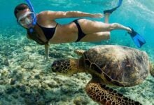 Similan Islands shut for sea-son: Timeout to let paradise breathe