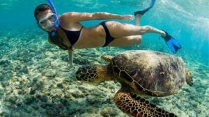 Similan Islands shut for sea-son: Timeout to let paradise breathe