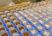 Sweet deceit: Thai dessert seller left out of pocket in pudding fraud