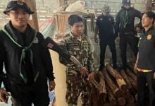 Two arrested in Chachoengsao for hiding Siamese rosewood worth nearly 1 million baht