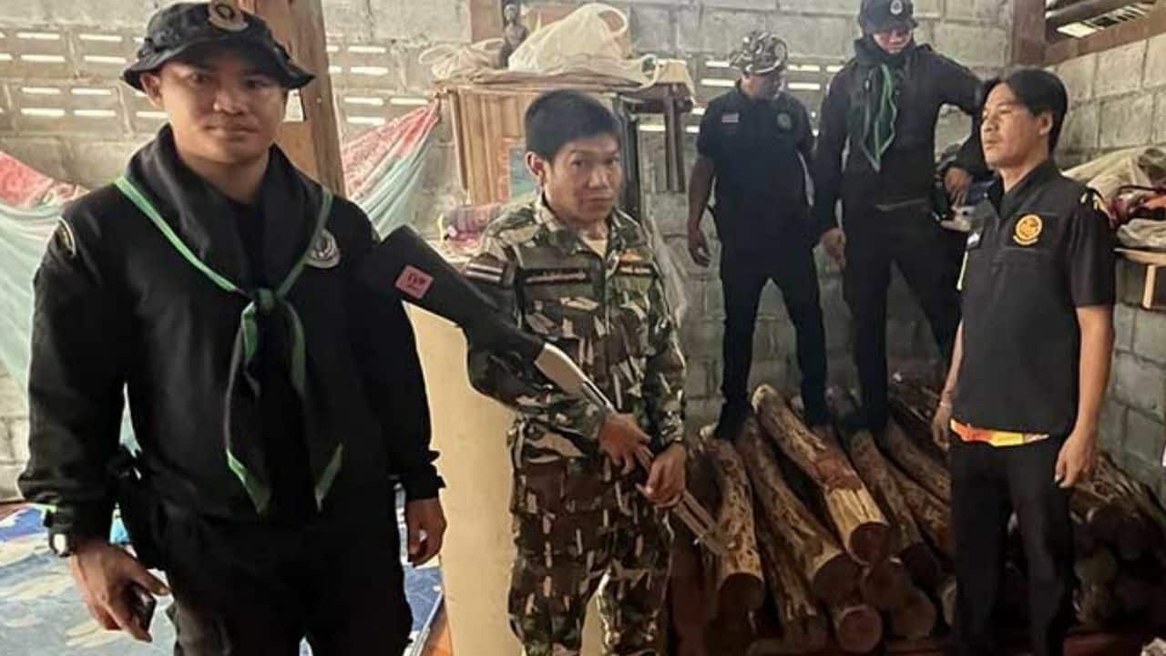 Two arrested in Chachoengsao for hiding Siamese rosewood worth nearly 1 million baht