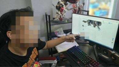 Lampang and Phayao men arrested for running porn group
