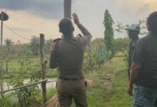 Man struck by lightning in Sakon Nakhon while tending cattle