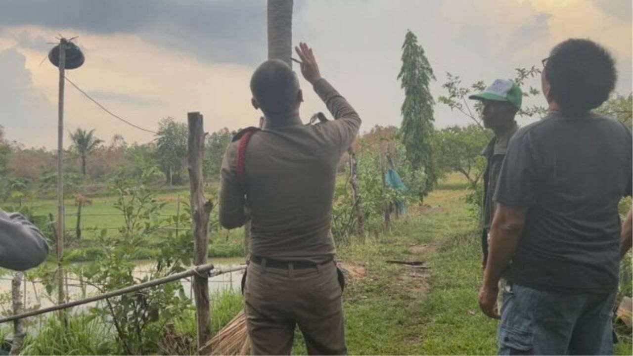 Man struck by lightning in Sakon Nakhon while tending cattle