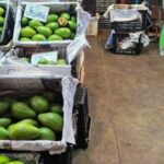 11 tonnes of smuggled avocados seized in Thailand&#8217;s Pathum Thani market | Thaiger