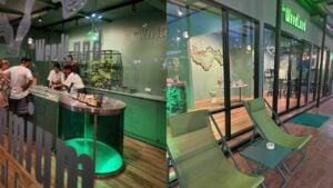 Best weed shops in Krabi [2025] | Thaiger
