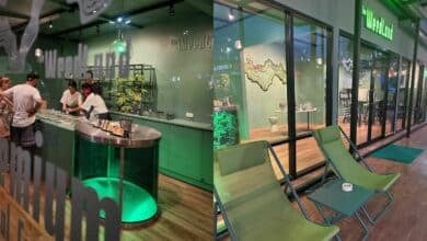 Best weed shops in Krabi [2025] | Thaiger