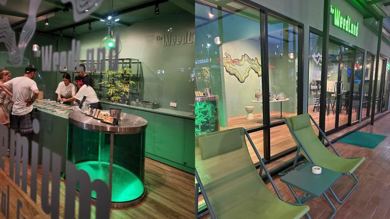 The WeedLand’s stylish green weed shop in Krabi