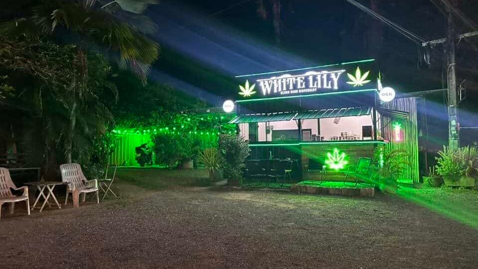 White Lily Krabi, the weed shop in Krabi, glowing in neon green at night
